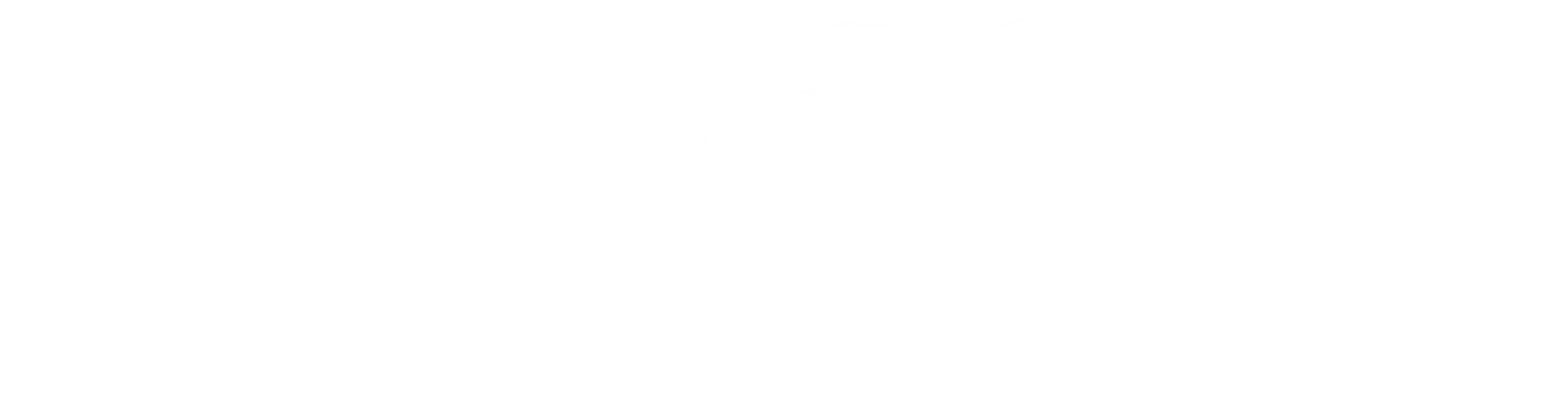 Daria Zari daria-zari