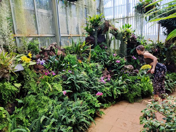 Organic Gardening: 5 Amazing Benefits for Your Mental Health